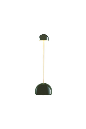 Светильник настольный портативный Sips Green Gold